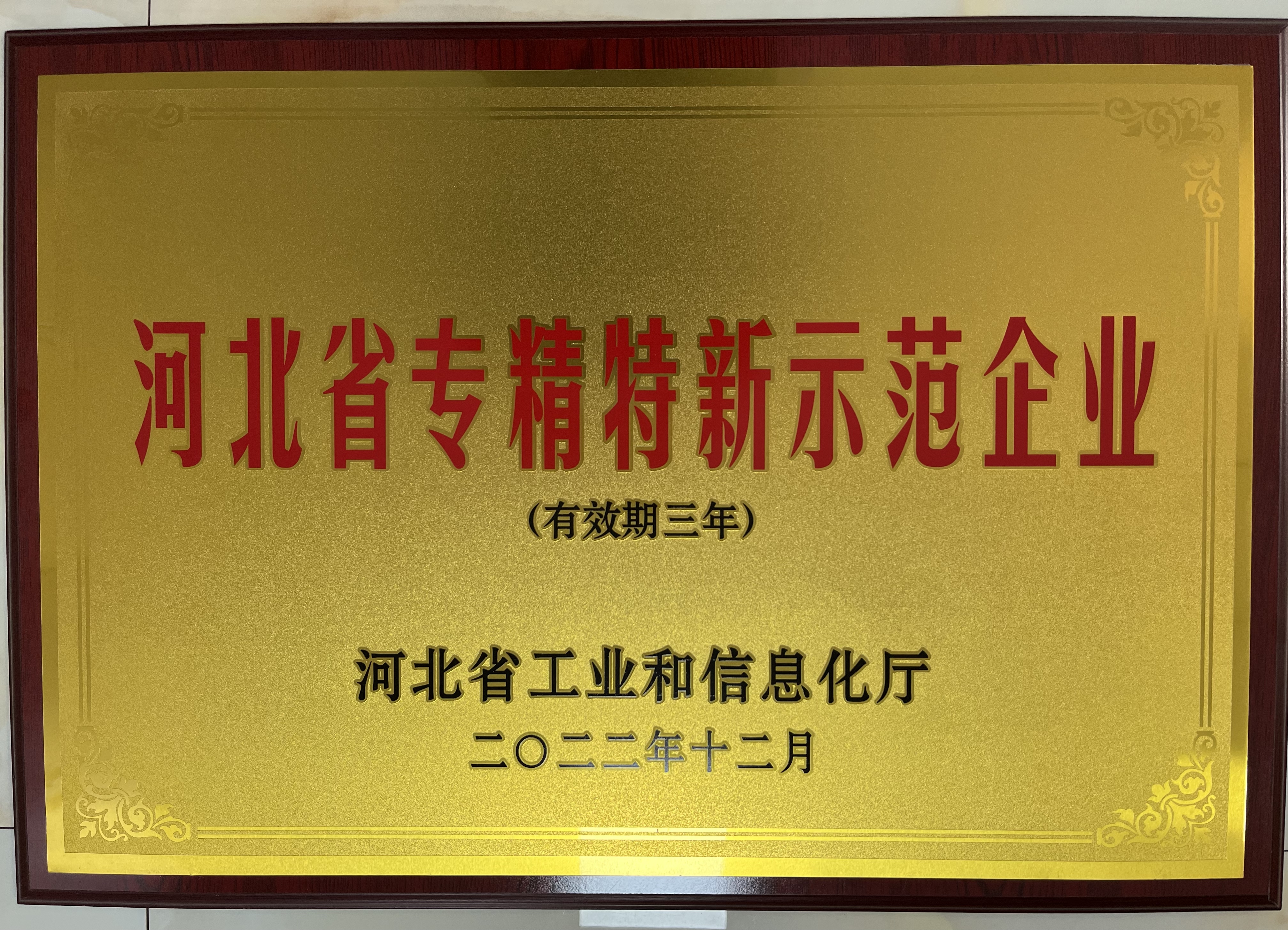 河北美星：入选2022年河北省专精特新示范企业